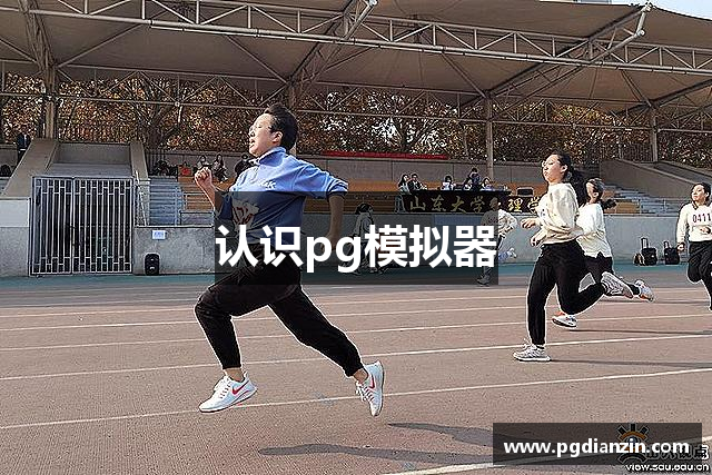 认识pg模拟器